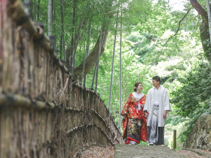 緑溢れるロケーションでの撮影