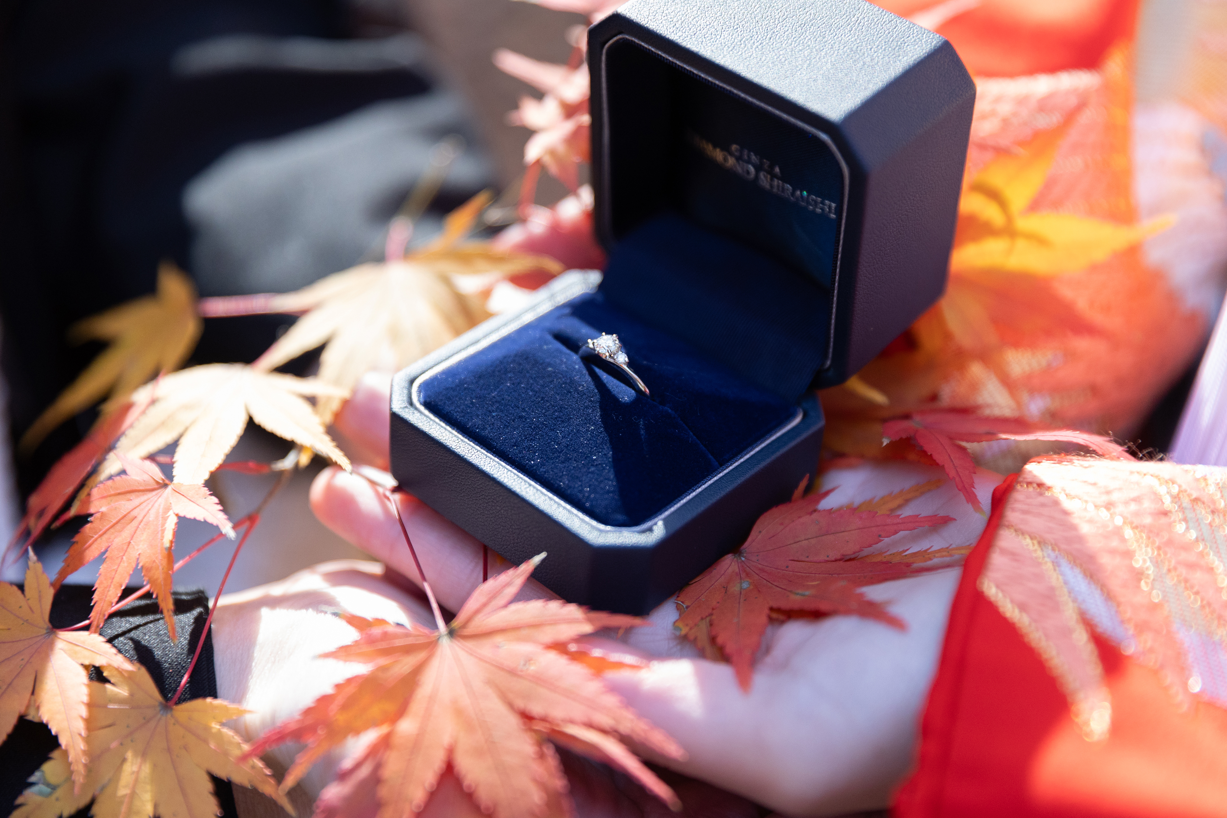 20以上ある撮影シーン