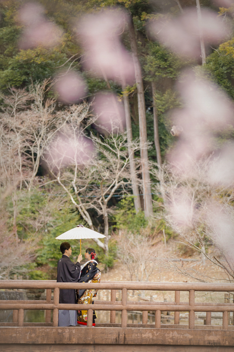 【春満開】桜ロケーションフォトプラン！　～衣装ランクアップが無料！！～