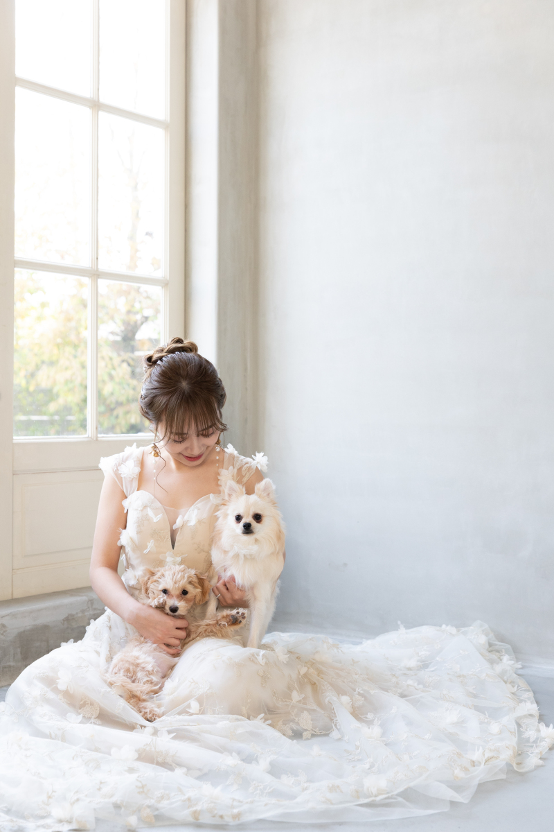 【先着10組◆愛犬・愛猫と】2ndスタジオ撮影プラン★洋装1着+全80カット &yen;158,000&rArr;&yen;98,000