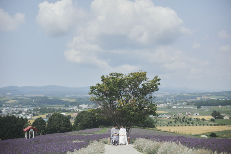 日の出公園 一本の木