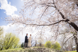 桜ロケーション撮影
