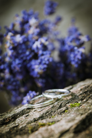 ＊富良野　ロケーション＊