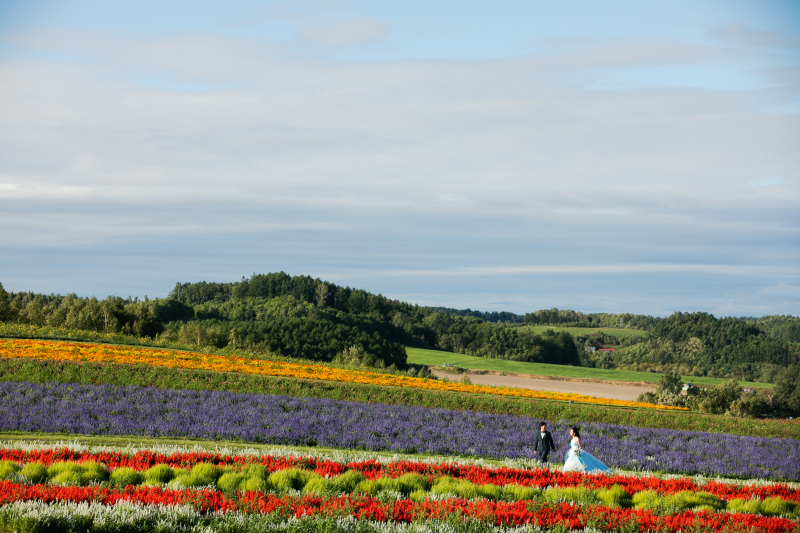 富良野・美瑛エリアの魅力☆