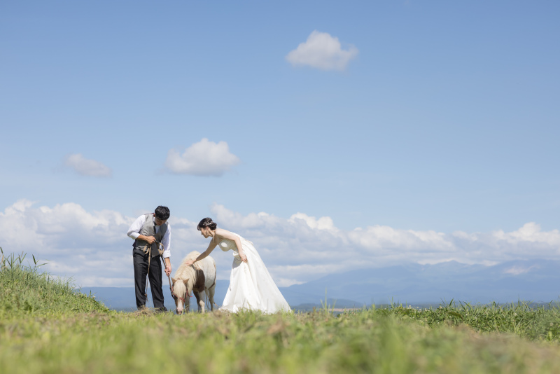 動物に癒されて牧場グルメも楽しめちゃう