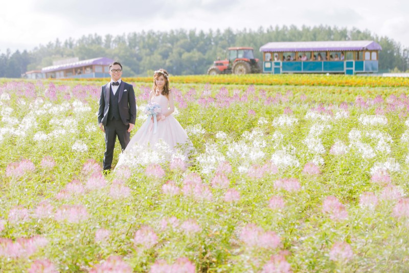 色とりどりのお花の中で