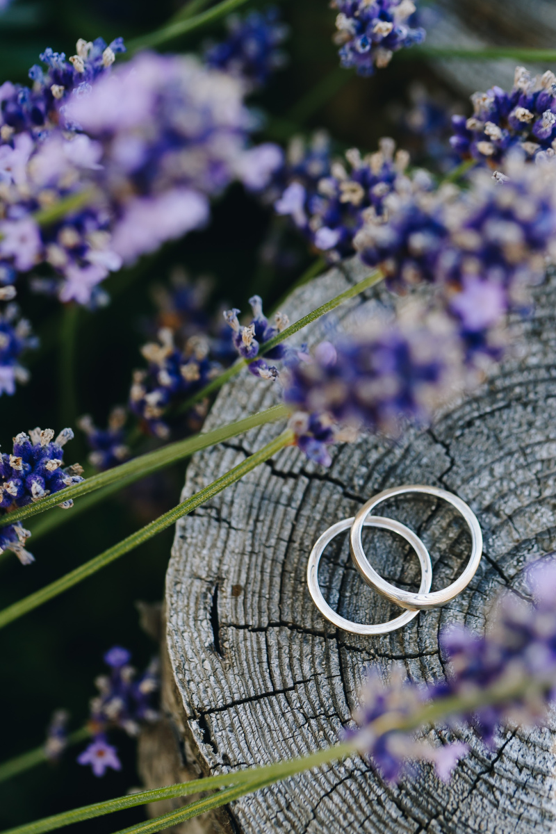 イメージカットから