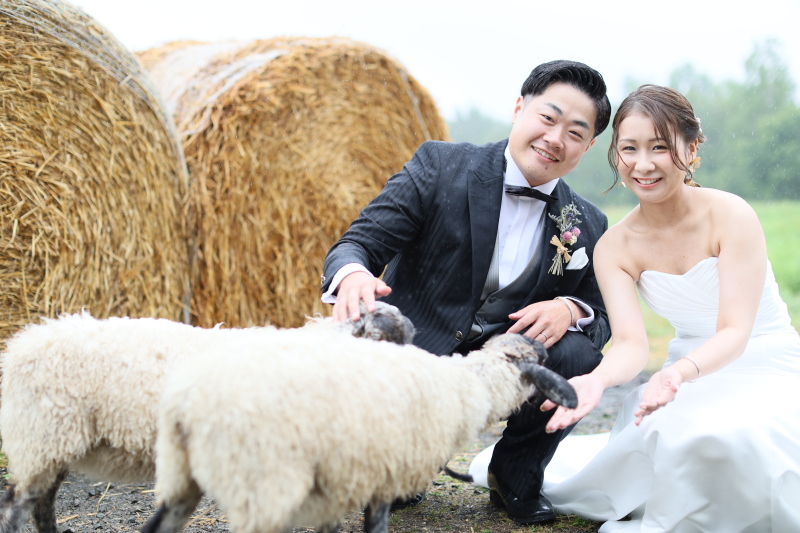 ファームズ千代田