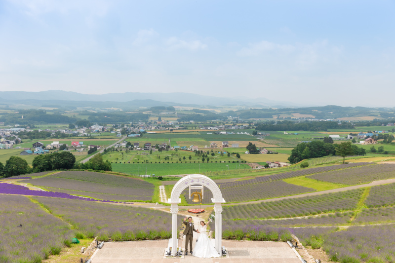 ラベンダーの見頃は？