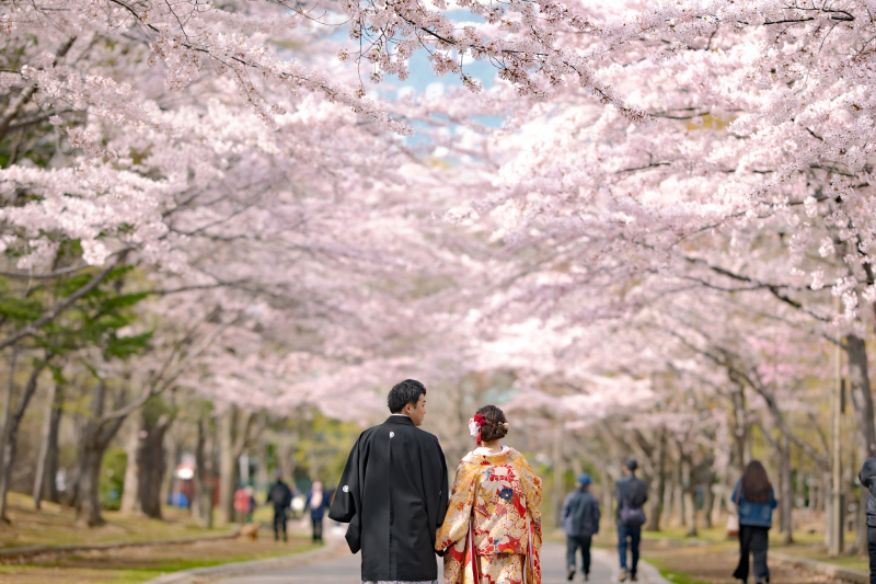 今年の見頃は…？