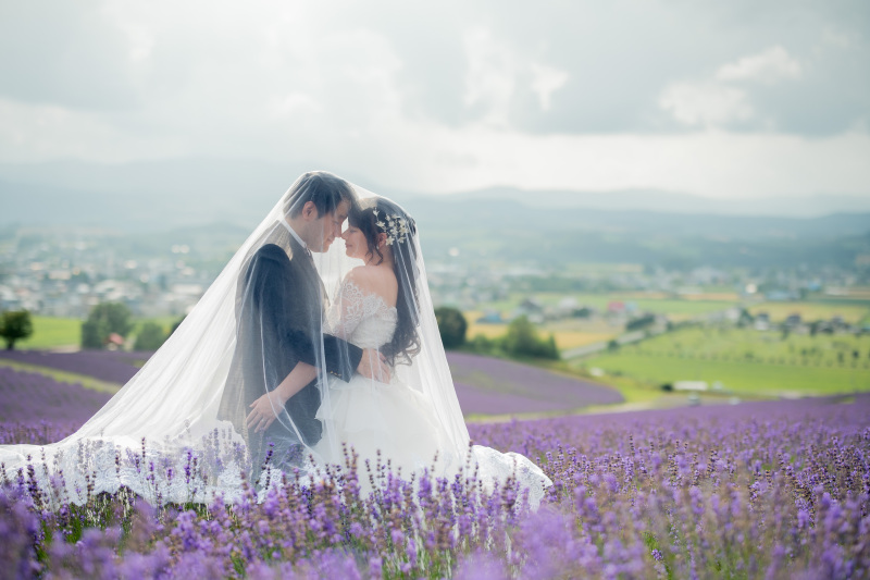 ラベンダーシーズン