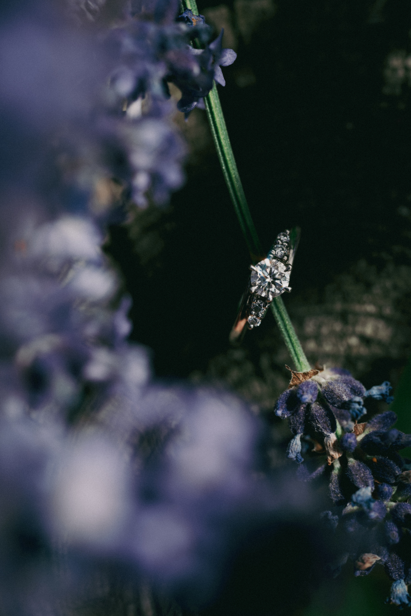 お支度中〜リングショット