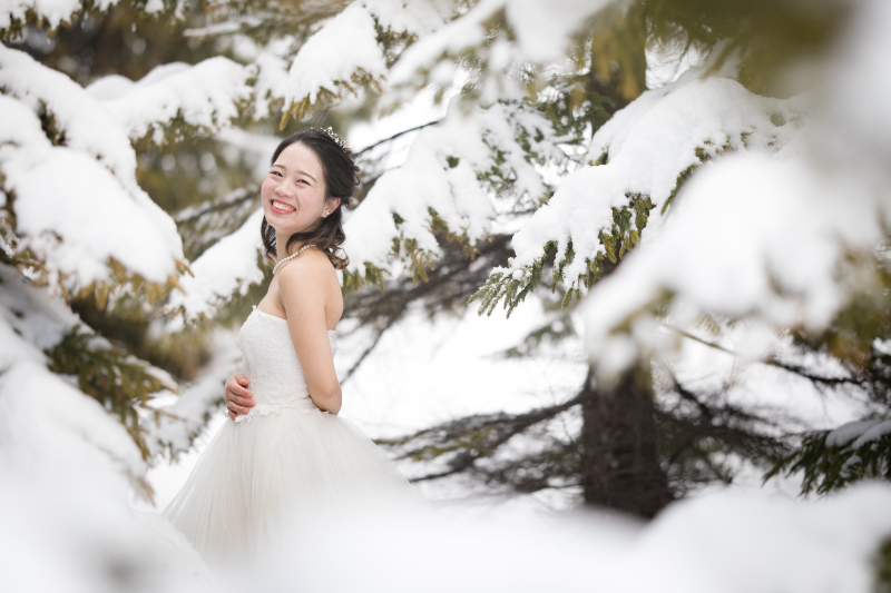 雪の積もる木の中で