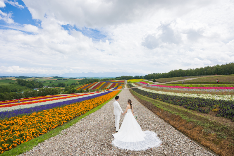 四季彩の丘へ到着!