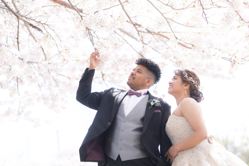 桜と新緑の春フォトウェディングꕤ୭*