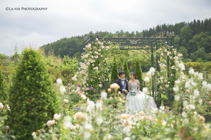 基本料金50%オフキャンペーン