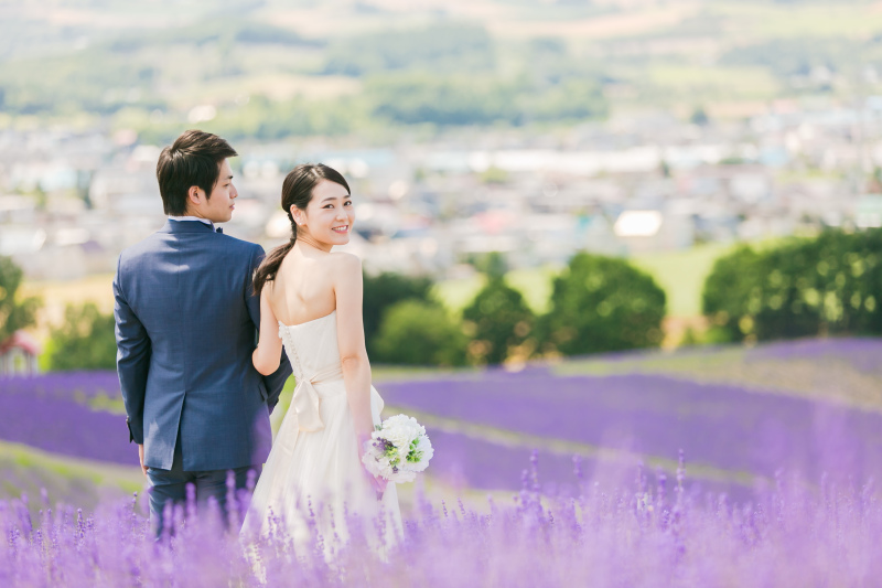 ラベンダーの見頃