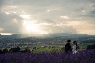 今年も！ラベンダーシーズン！