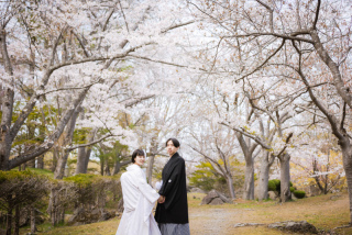 桜シーズンまでもう少し！