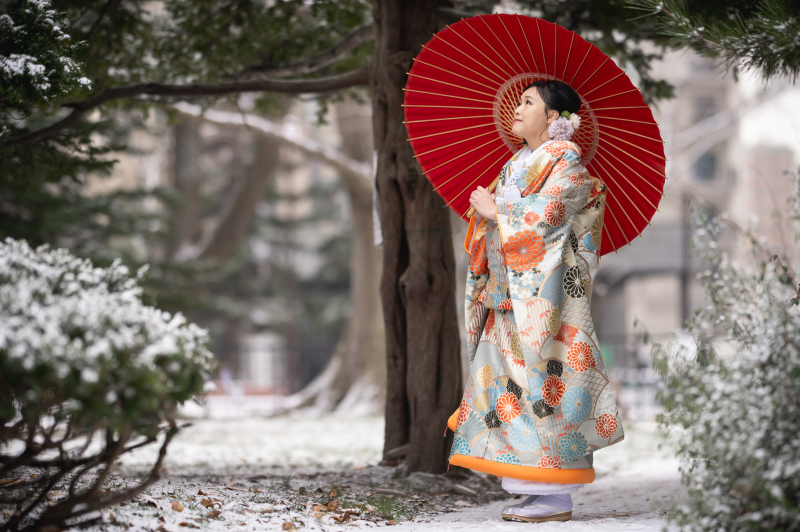 色打掛 菊花青海紋