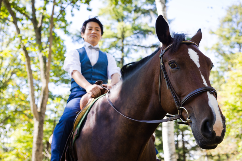 お馬さんがたくさん