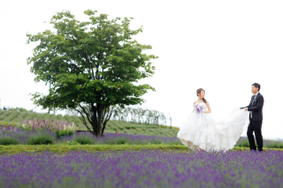 【ロケーション撮影】富良野