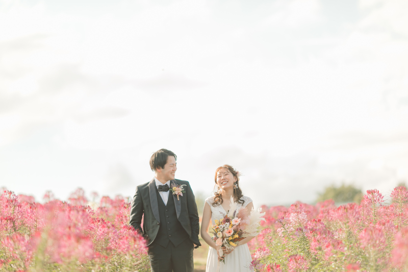 夕陽のお花畑❀