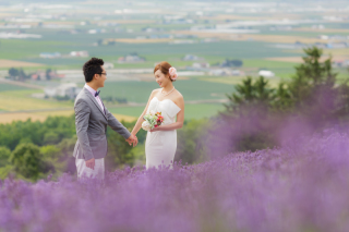 7月中旬からが見頃！ラベンダー畑でロケーションフォト
