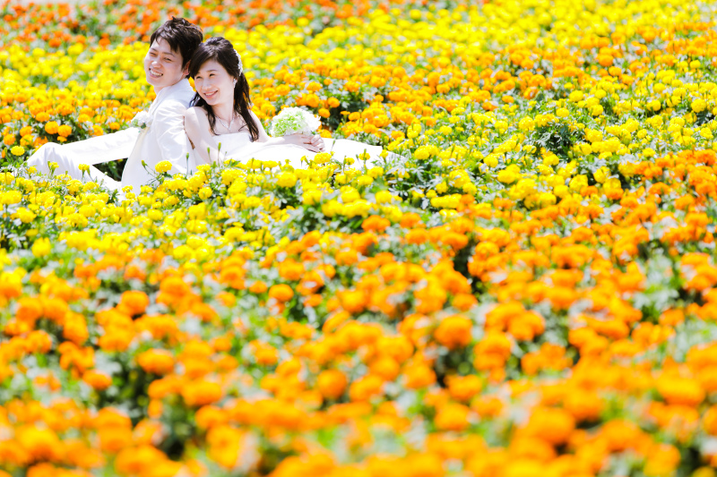 ＊マリーゴールド＊