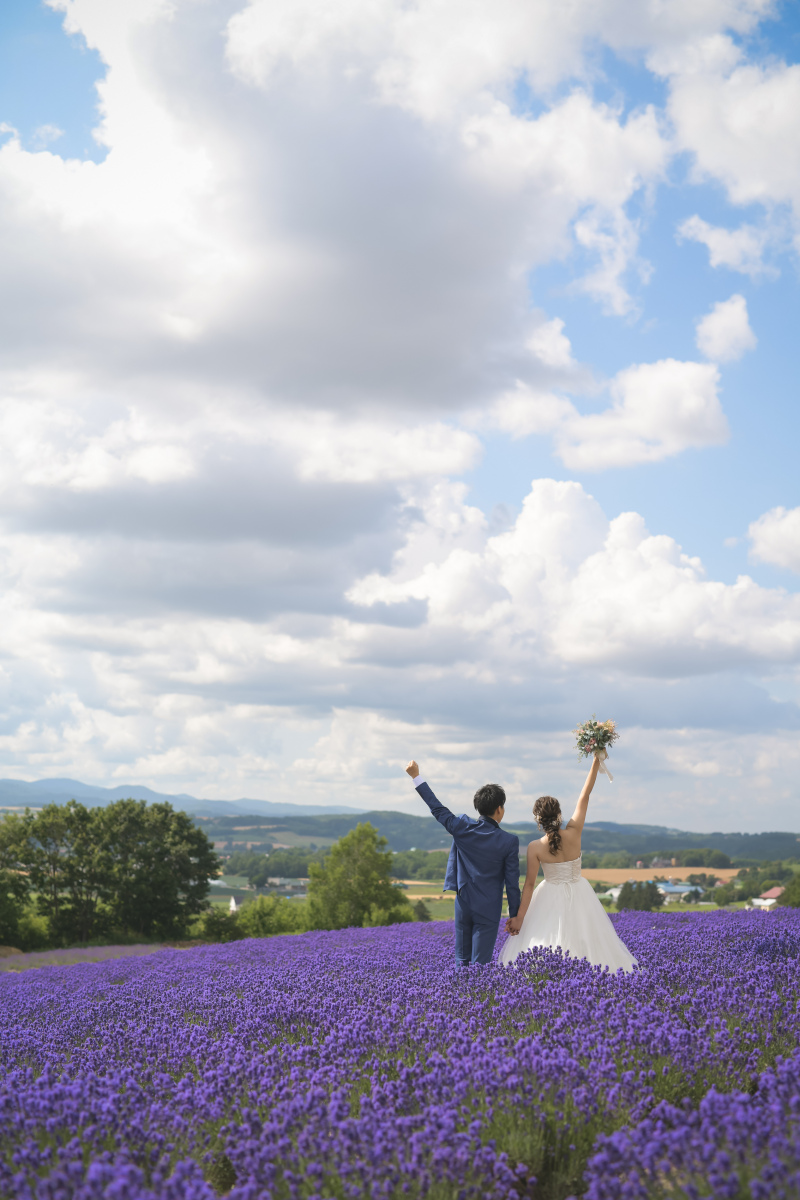 ラベンダーの咲き状況