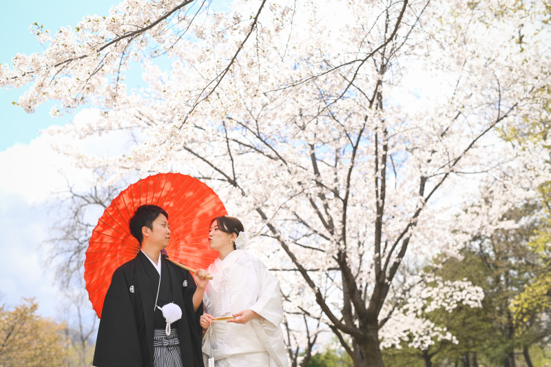 青い空と綺麗な桜