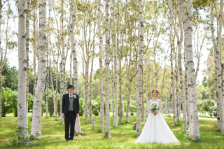 札幌でロケーションフォトウェディング～前田森林公園～*