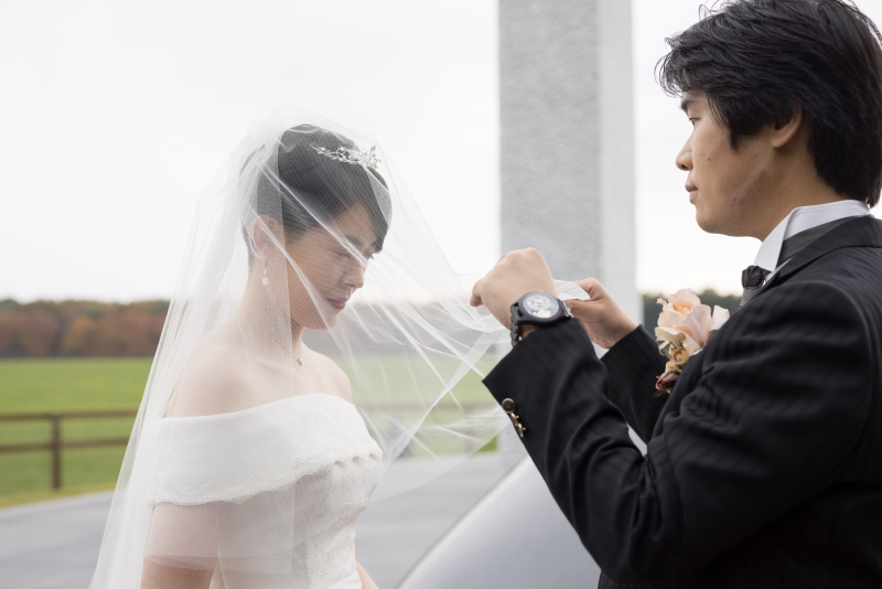 ヴェールアップ