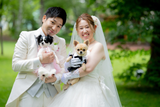 家族・ペットと一緒に富良野ロケーションフォトウェディング・前撮り
