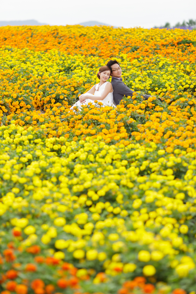 見頃なのはラベンダーだけじゃない！