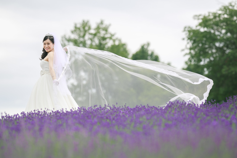 7月の風は気持ちが良いです