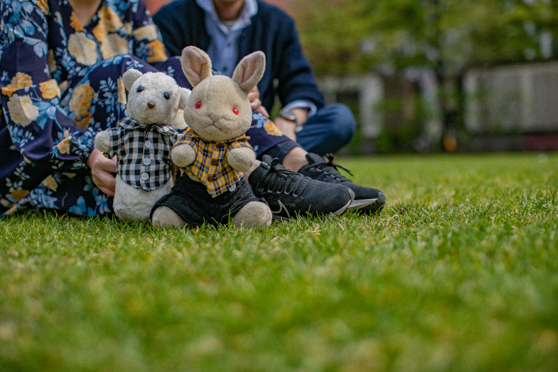 出張撮影 スタンダードプラン