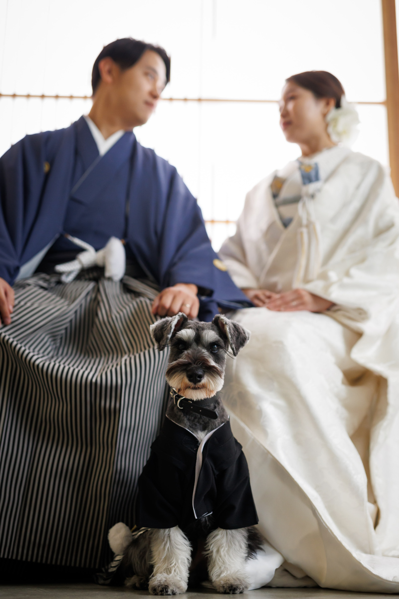 時には主役に！