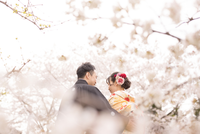 和を感じる写真