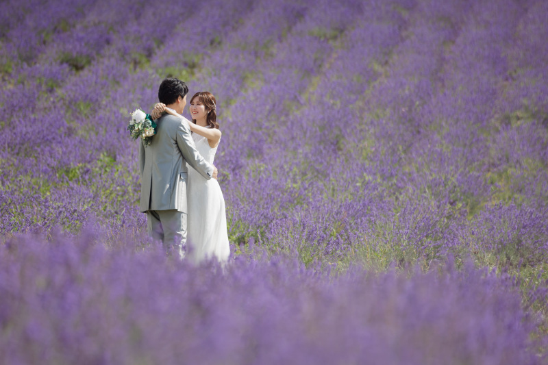 日の出公園ラベンダー園