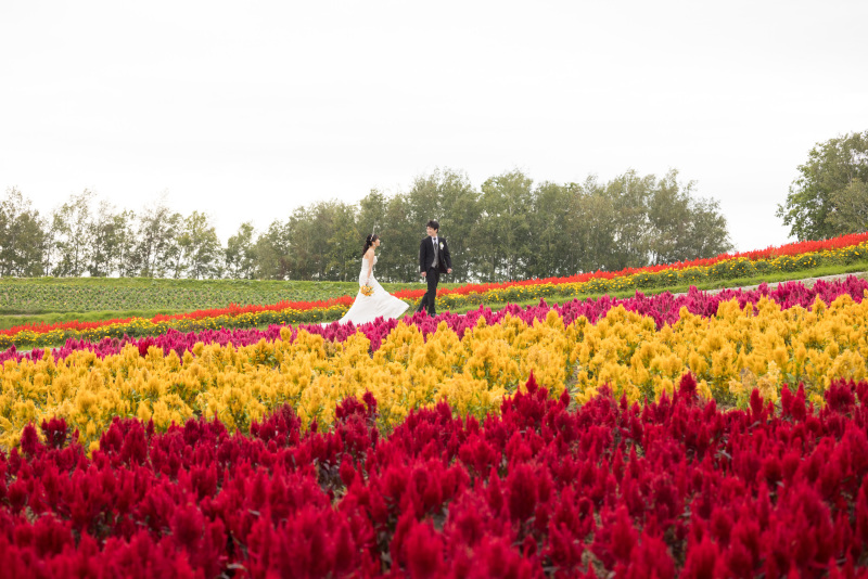 9月に咲く草花は色鮮やか♪