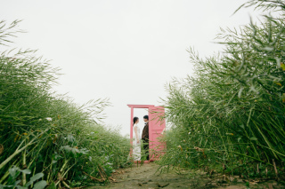 カワイイ！ドラえもんの世界でフォトウェディング⁈♡ どこでもドア