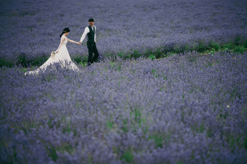 撮影〜日の出公園　ラベンダー畑