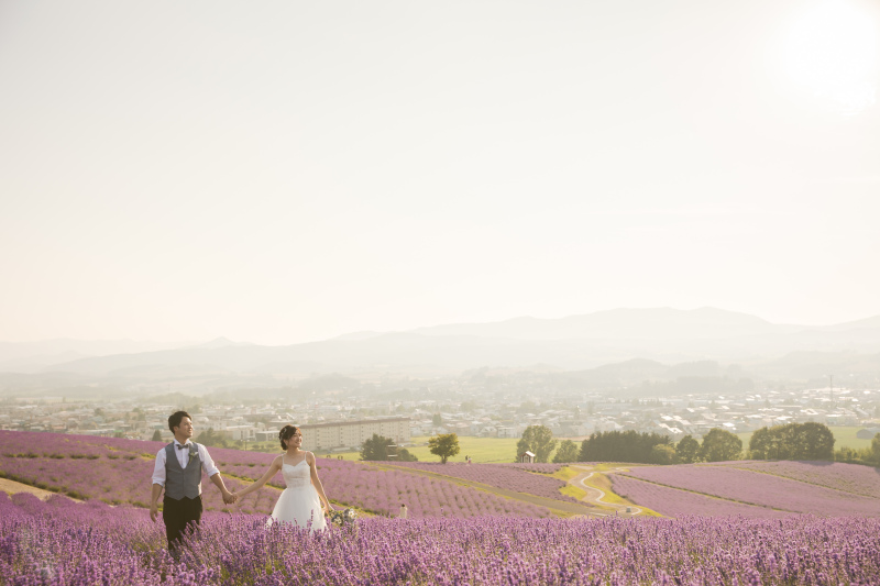温かい印象のお写真