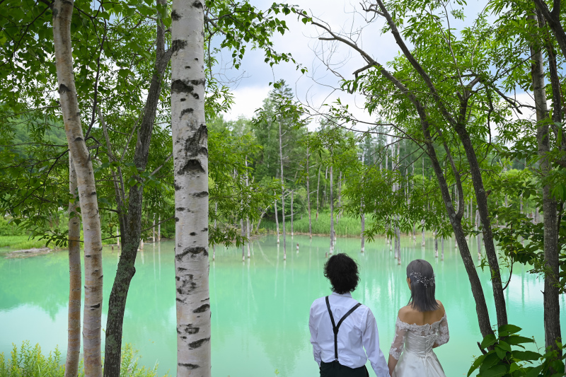 美瑛の有名が観光地に!