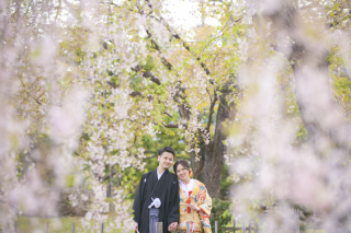 <<桜ロケーションキャンペーン>>