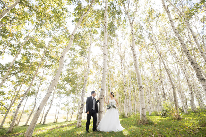 小樽の街並み・モエレ沼公園で洋和ロケーション