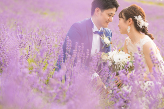 富良野＊ラベンダー