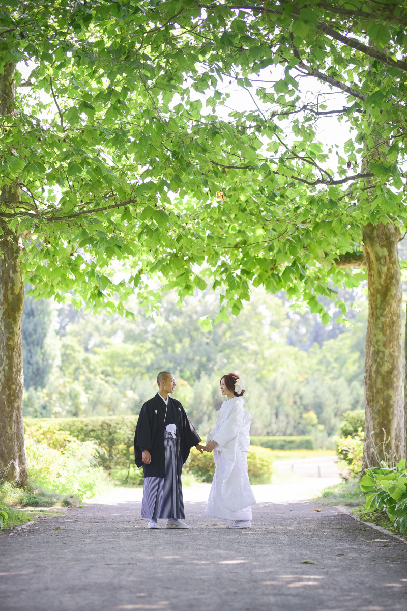 フォトレイト限定相談会を行います♪