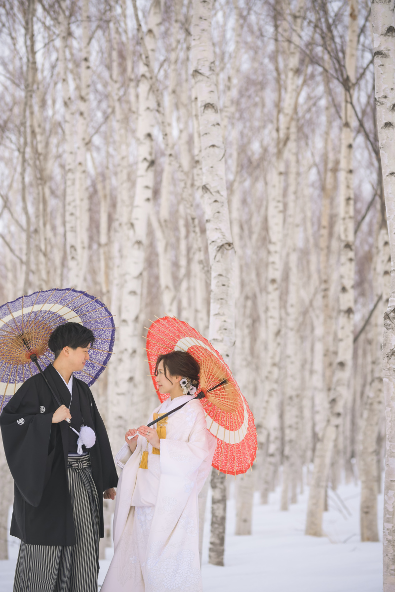 白樺と真っ白な雪